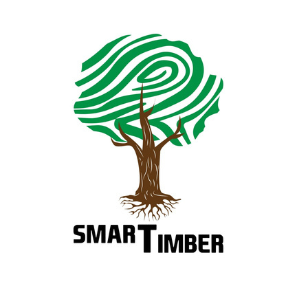 Smart Timber